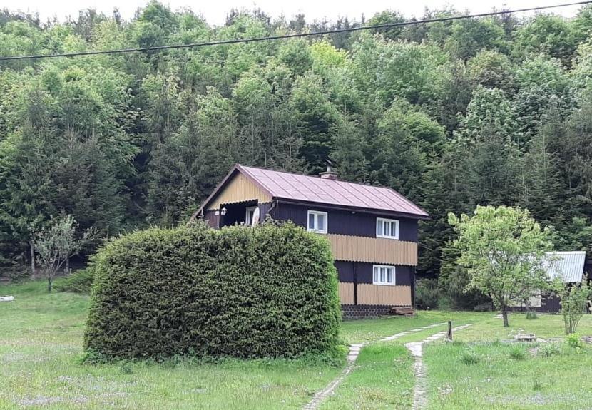 Fleurs De Myto Villa Mýto pod Ďumbierom Kültér fotó
